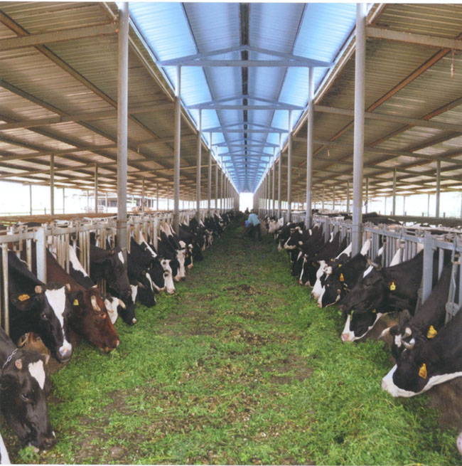 Wastewater treatment technology for breeding and slaughtering